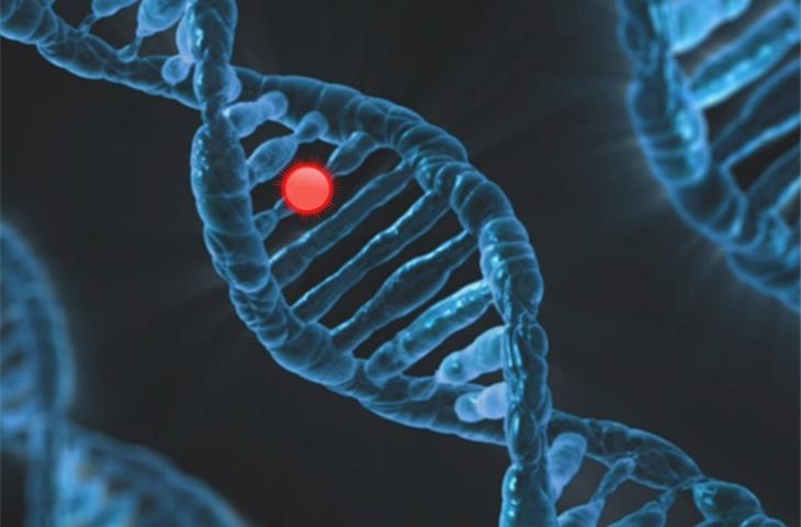 osimertinib t790 mutated